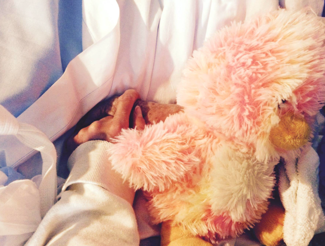 Screen Shot 2017-05-16 at 2.03.48 PM